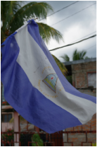 Picture of the Nicaraguan flag flapping in the wind, background shows a palm tree and brick house with a metal corrugated roof. The nicaraguan flag is divided into three stripes top and bottom a lovely light blue, white in the middle with some sort of seal in the middle